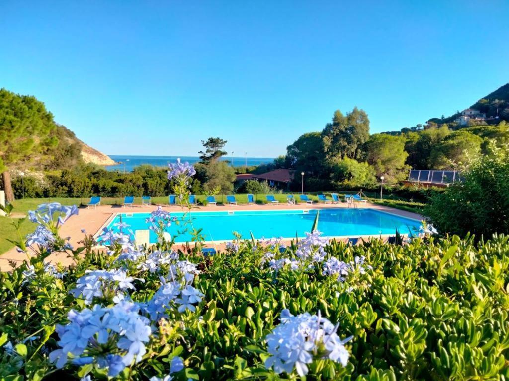 Elbamare Residence Con Piscina Nisporto 외부 사진